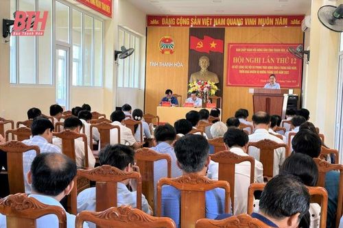 Hội Nông dân tỉnh nhiều hoạt động hỗ trợ nông dân phát triển sản xuất