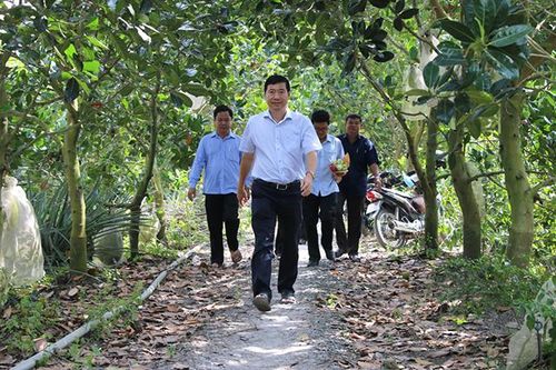 Huyện Thanh Bình phát huy vai trò kinh tế tập thể trong sản xuất nông nghiệp