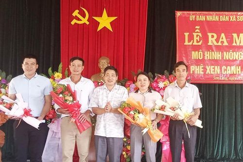 Ra mắt mô hình 'Nông hội trồng cà phê xen mắc ca' tại xã Sơn Lang