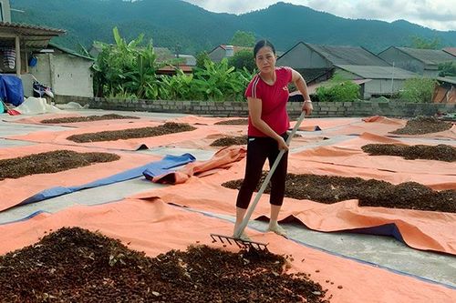 Một nông dân Lạng Sơn được tặng danh hiệu 'Nông dân Việt Nam xuất sắc' năm 2023