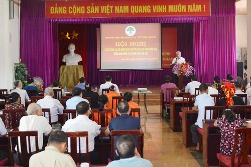 Đẩy mạnh công tác chăm sóc và phát huy vai trò người cao tuổi