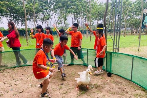 Hiến kế phát triển du lịch nông nghiệp, nông thôn
