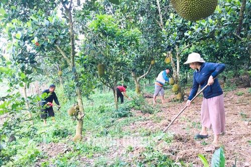 Nơi để yêu thương, để trở về…