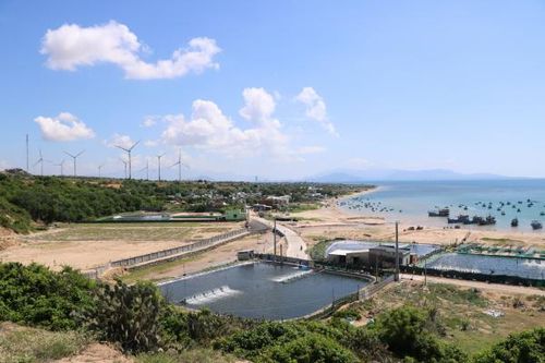 Hủy hai thông báo thu hồi đất tại dự án Nhà máy điện hạt nhân Ninh Thuận 1 và 2