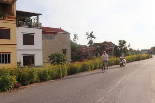 'Đê hoa' ở Đan Phượng