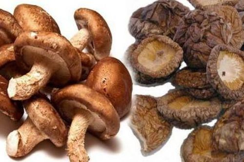 Nấm hương giúp giảm mỡ máu, hỗ trợ trị tăng huyết áp