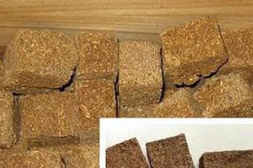 4 món cháo thuốc cho người viêm dạ dày
