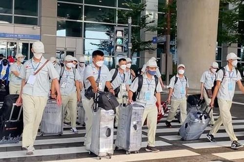 Nhiều doanh nghiệp xuất khẩu lao động bị thu hồi giấy phép hoạt động