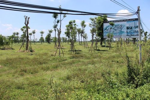 Mạnh tay xử lý dự án chậm triển khai