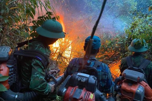 Nghệ An: Huy động lực lượng khống chế cháy rừng ở huyện Diễn Châu