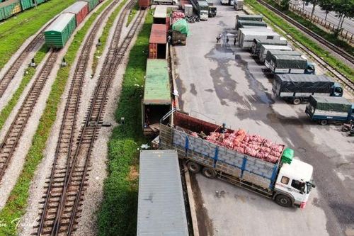 Chính thức khai thác đoàn tàu container lạnh Sóng Thần - Đồng Đăng