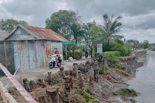 Cà Mau: Sống cùng sạt lở