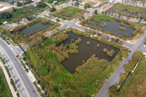 TPHCM đấu giá lại 4 lô 'đất vàng' bị bỏ cọc và 3.790 căn hộ tái định cư