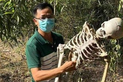 Đi rừng nhặt củi, tá hỏa phát hiện bộ xương