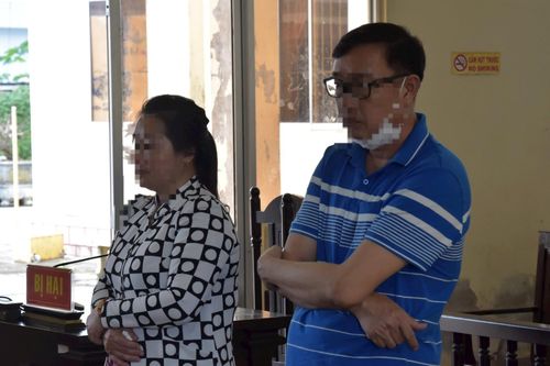 Làm giả sổ đỏ, hai vợ chồng cùng lãnh án
