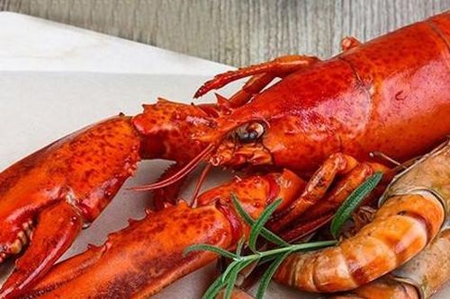 Lý do một số người dị ứng tôm nhỏ nhưng vẫn ăn được tôm hùm