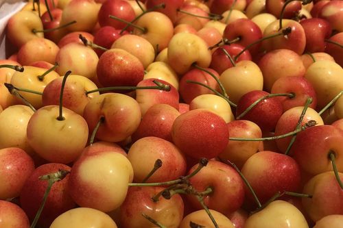 Cherry nhập khẩu bán đầy chợ Việt, hàng Mỹ giá rẻ chưa từng có