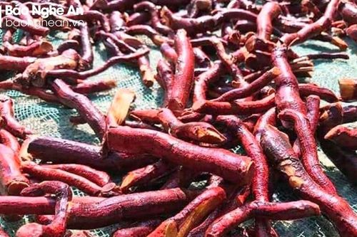 Uống nước nấu từ cây mú từn, bệnh nhân 39 tuổi nhập viện trong tình trạng loạn thần