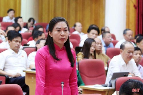 Đại biểu HĐND tỉnh Hà Tĩnh 'xoáy' vấn đề về an toàn vệ sinh thực phẩm