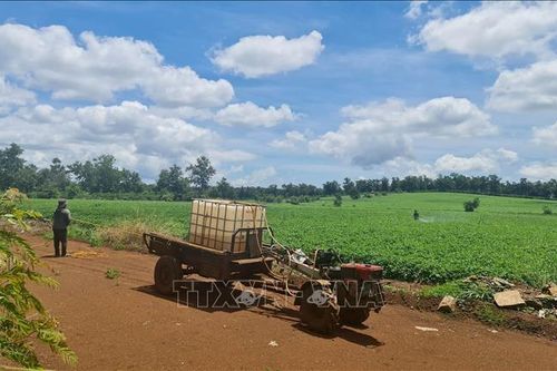 Đắk Nông: Chỉ đạo xử lý phản ánh về dự án nông nghiệp quy mô lớn tác động xấu tới môi trường
