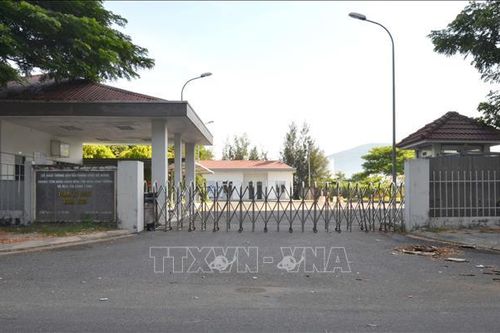 Nợ lương kéo dài, lái xe nghỉ việc, hệ thống xe buýt Đà Nẵng tê liệt