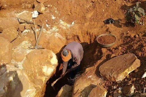 Thuê mảnh đất xấu không ai thèm, không ngờ thành triệu phú sau 1 đêm