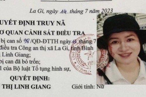 Bình Thuận: Truy nã toàn quốc cháu gái đánh mợ gây thương tích