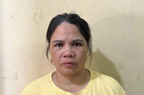 Vụ bắt 'bà trùm' đường dây trộm chó ở Thanh Hóa: Từng xây hầm giấu chó