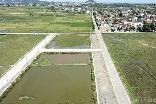 Nghệ An: Xử lý vụ em trai lãnh đạo huyện trúng đấu giá 23/56 lô đất