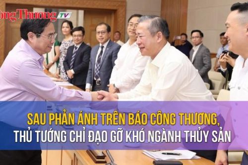 Sau phản ánh trên Báo Công Thương, Thủ tướng chỉ đạo gỡ khó ngành thủy sản
