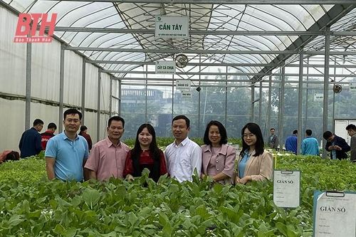 Khơi dậy tiềm năng du lịch nông thôn