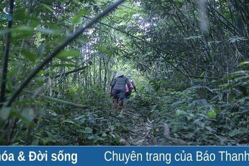 Mưu sinh giữa đại ngàn