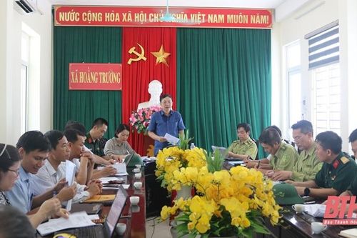 Sở Nông nghiệp và Phát triển nông thôn kiểm tra, xác minh thông tin khai thác gỗ rừng thông tại xã Hoằng Trường, huyện Hoằng Hóa