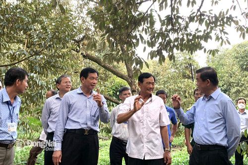 Tìm giải pháp hoàn thành các chỉ tiêu phát triển kinh tế - xã hội