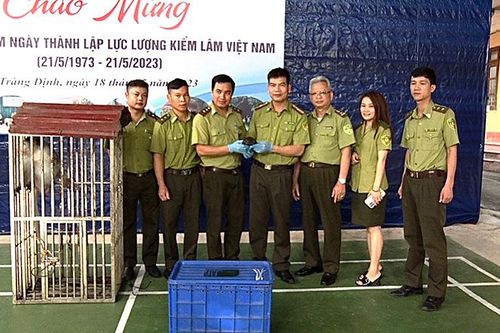Tràng Định: Bàn giao cá thể rùa đầu to và khỉ mốc cho Vườn Quốc gia Cúc Phương