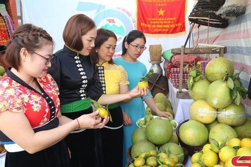 Xây dựng thương hiệu nông sản Phù Yên