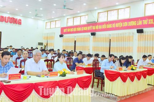 Sơn Dương tập trung khắc phục hạn chế, hoàn thành tốt nhiệm vụ 6 tháng cuối năm 2023