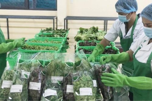 Thực phẩm sạch đang được nhiều người lựa chọn