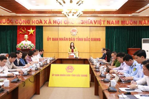 Báo cáo kết quả giám sát chuyên đề bằng hình ảnh