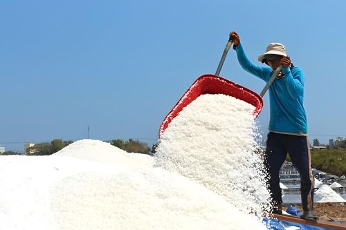 Bộ trưởng Lê Minh Hoan đề nghị thành lập hiệp hội ngành muối Việt Nam