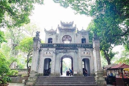 Cây muỗm trong phố