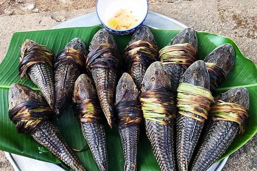 Bé gái tử vong sau khi ăn thịt và trứng của cá lau kính
