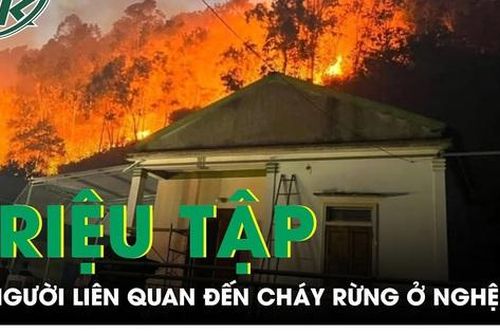 Đi khảo sát điện gió, nhóm người hút thuốc làm cháy rừng tại Nghệ An