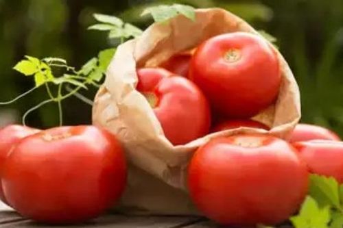 Mất mùa do thời tiết cực đoan, cà chua ở Ấn Độ tăng giá gấp 4-5 lần