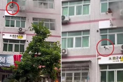 Trung Quốc: Người mẹ thả con sơ sinh từ tầng 4 căn hộ đang cháy, bé gái sống sót kỳ diệu