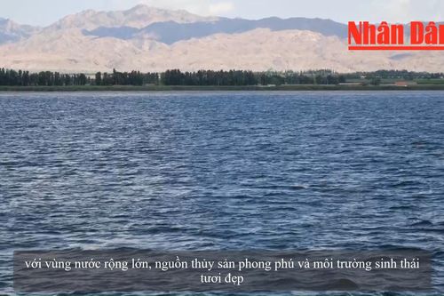 Khám phá hồ Ô Lương Tố - viên ngọc giữa thảo nguyên