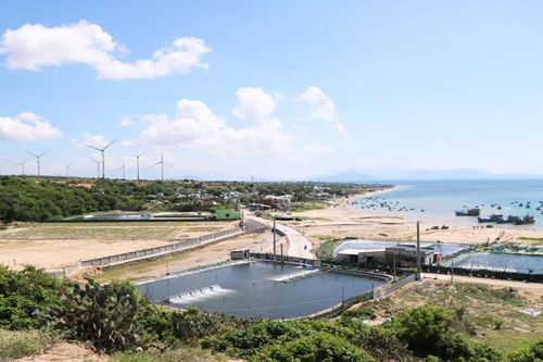 Người dân vùng dự án điện hạt nhân Ninh Thuận hướng về tương lai