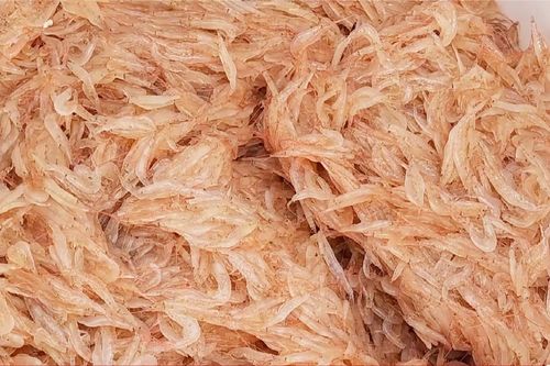 Quảng Bình: Ngư dân trúng đậm tép biển