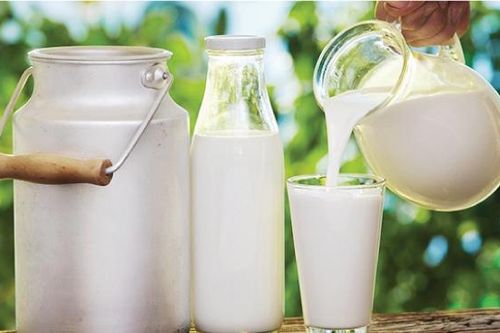 Người già uống sữa tươi hay sữa bột tốt hơn?
