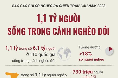 1,1 tỷ người trên thế giới sống trong cảnh nghèo đói